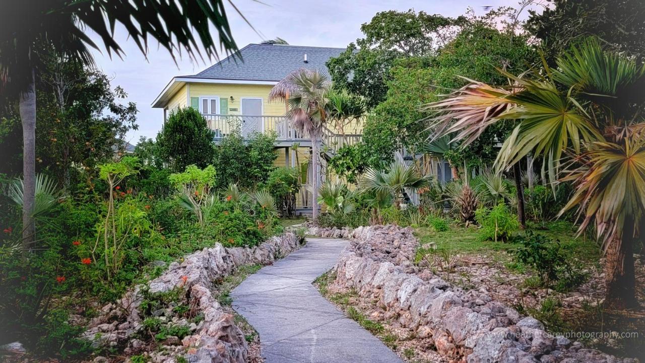 Aparthotel Pineapple Fields à Governor S Harbour Extérieur photo