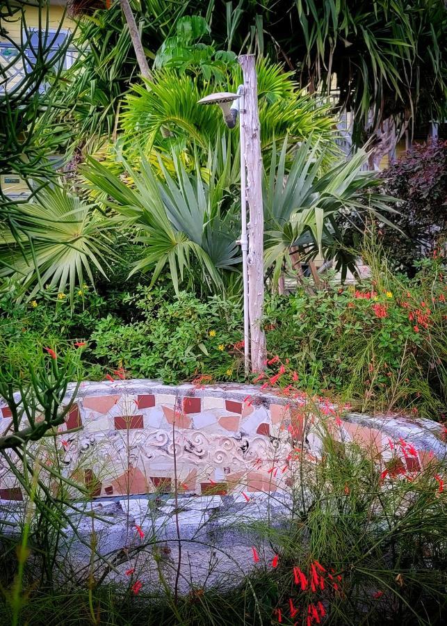 Aparthotel Pineapple Fields à Governor S Harbour Extérieur photo