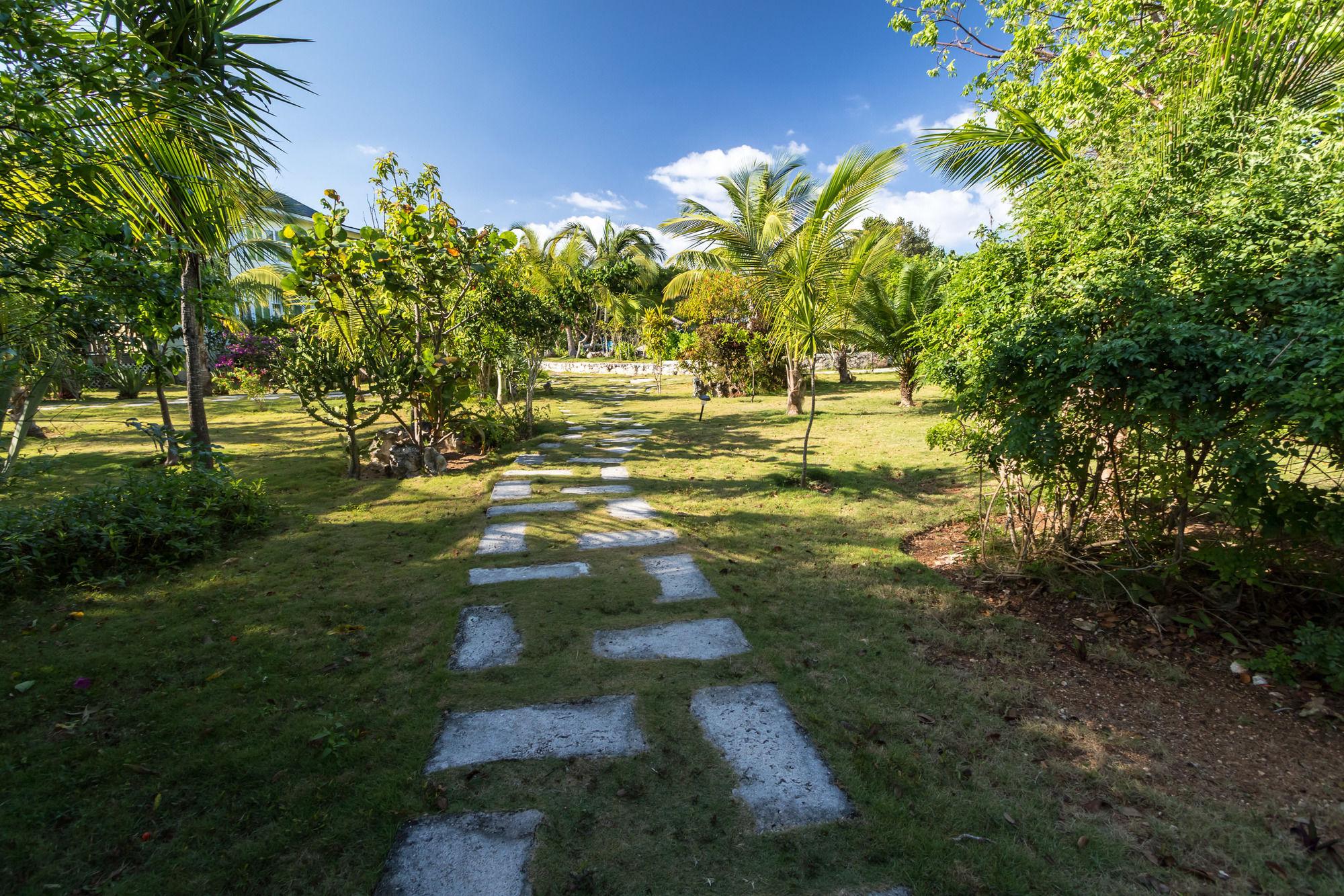 Aparthotel Pineapple Fields à Governor S Harbour Extérieur photo