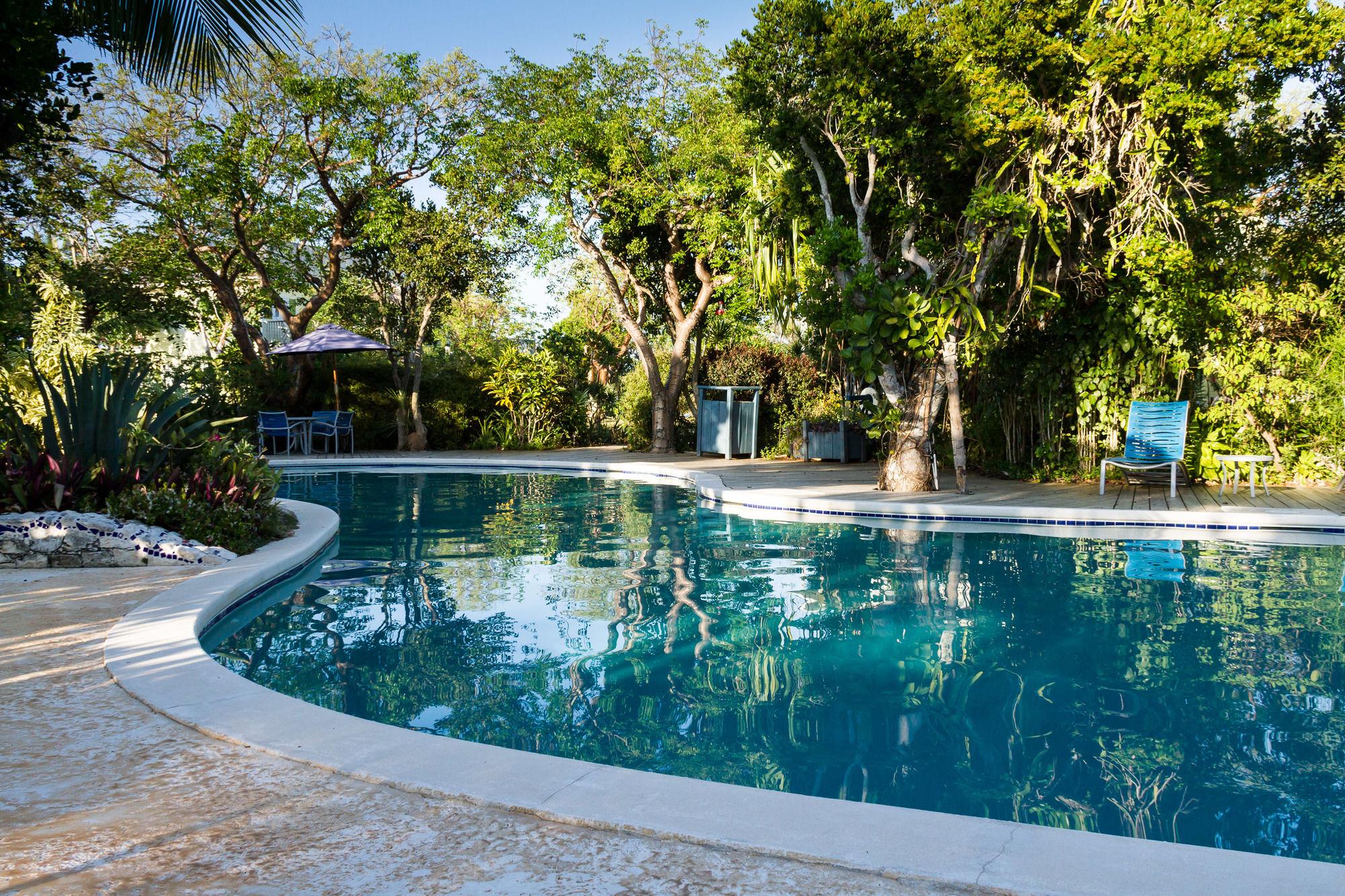 Aparthotel Pineapple Fields à Governor S Harbour Extérieur photo